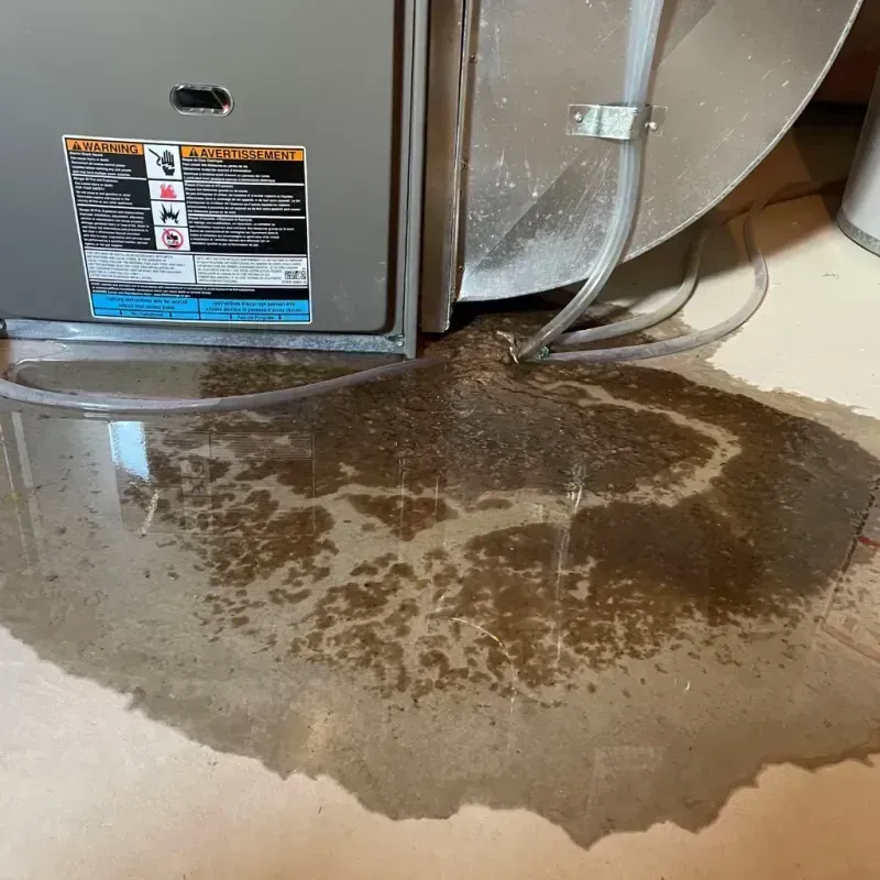 Appliance Leak Cleanup in Alta Sierra, CA